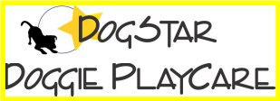 Logo Dogstar Doggie Playcare